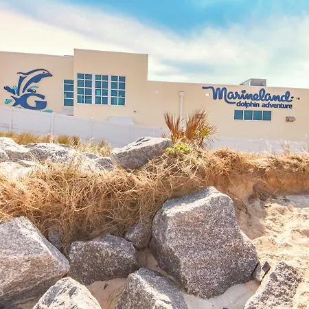 Ocean Village Club Q14, Ocean View, 2 Bedrooms, Pet Friendly, Wifi, Sleeps 6-2